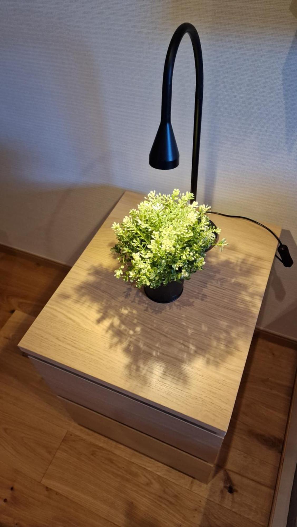 Kitsune Cottages Hakuba Ngoại thất bức ảnh